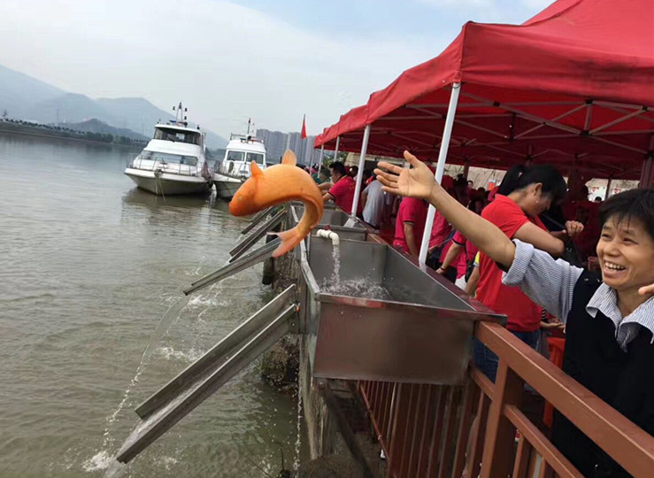 放流_副本.jpg